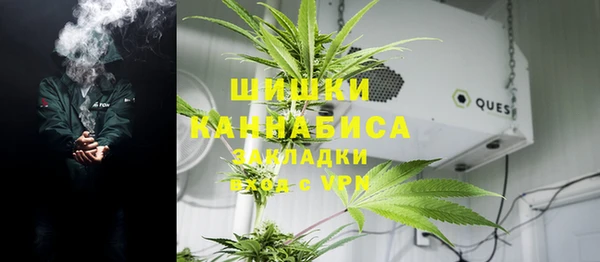 прущая мука Богданович