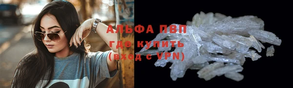 прущая мука Богданович