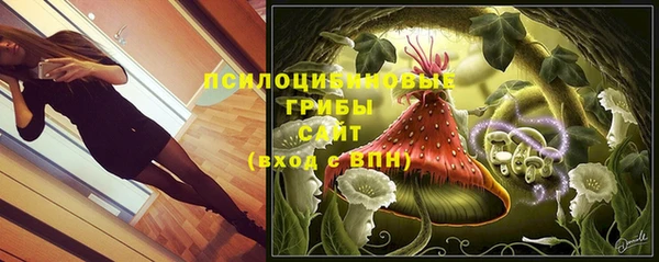 прущая мука Богданович