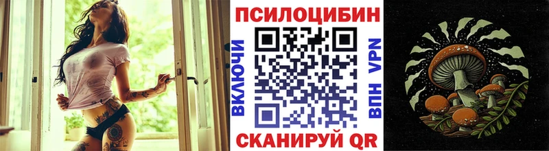 Галлюциногенные грибы Cubensis  omg ССЫЛКА  Сибай 
