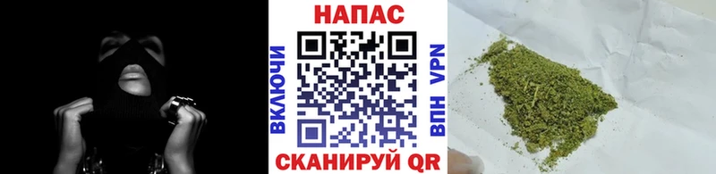 Бошки марихуана OG Kush  Сибай 